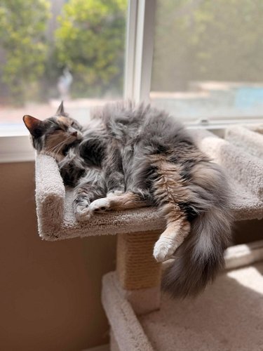 Living her best life ❤️