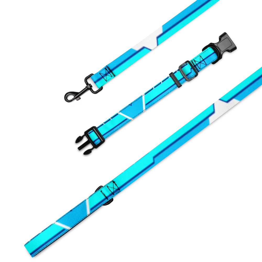 Cyber1 Pet Leash & Collar product image (2)