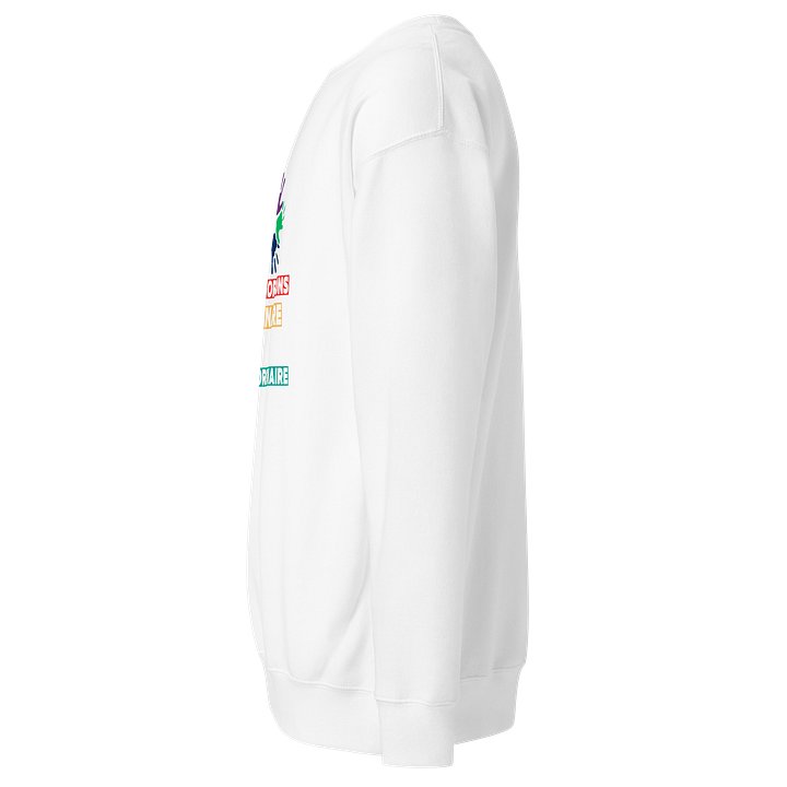 Transformons l’Ordinaire en Extraordinaire Sweatshirt product image (2)