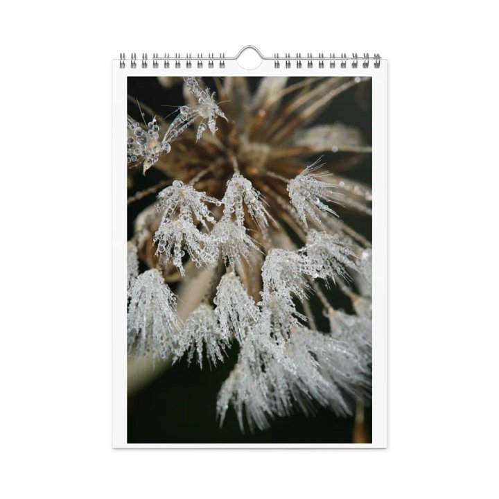 Ephemeral Dandelions 2025 Wall Calendar product image (1)