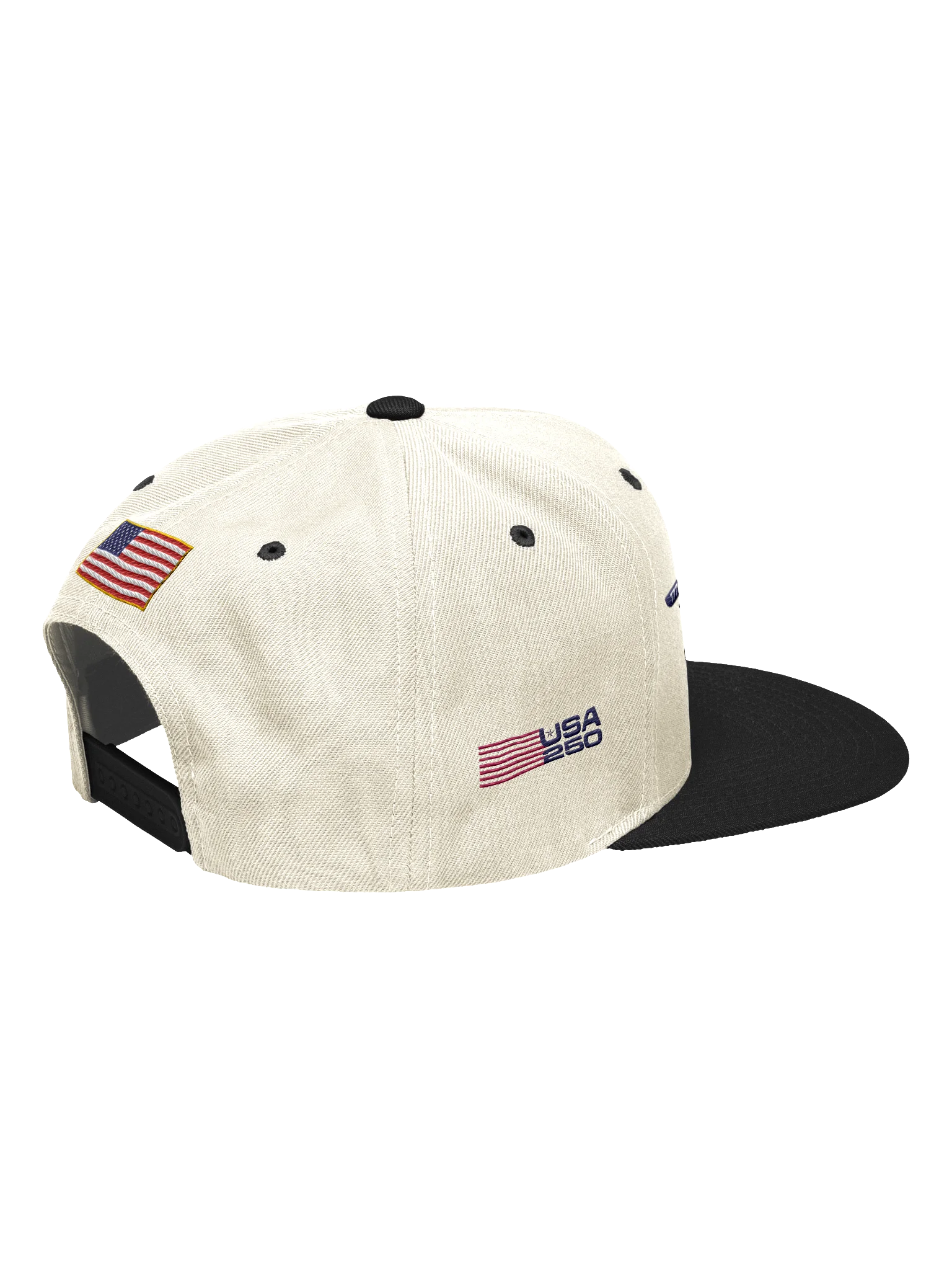 USA250 Winged Logo Two Tone Cap product image (2)