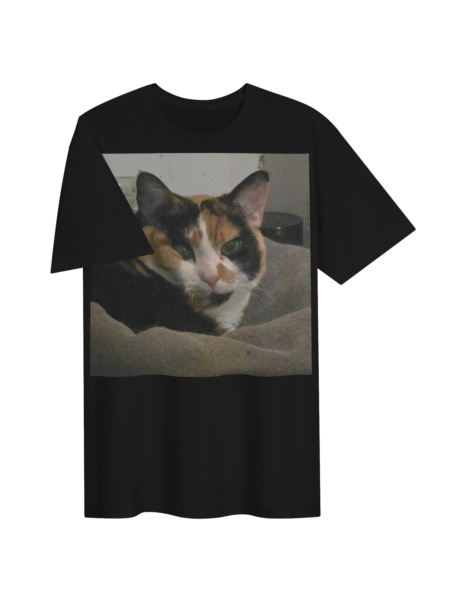 Captain Noodle Shirt product image (3)