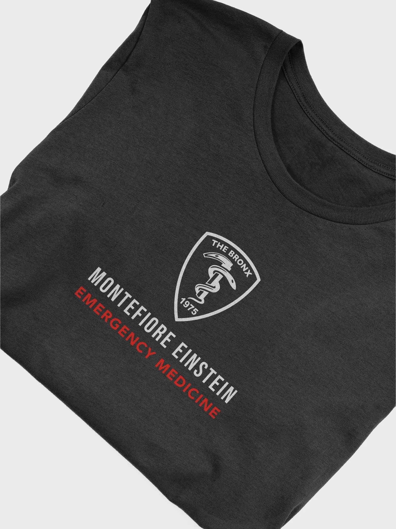 T-shirt, Monte-Einstein (dark colors) product image (52)