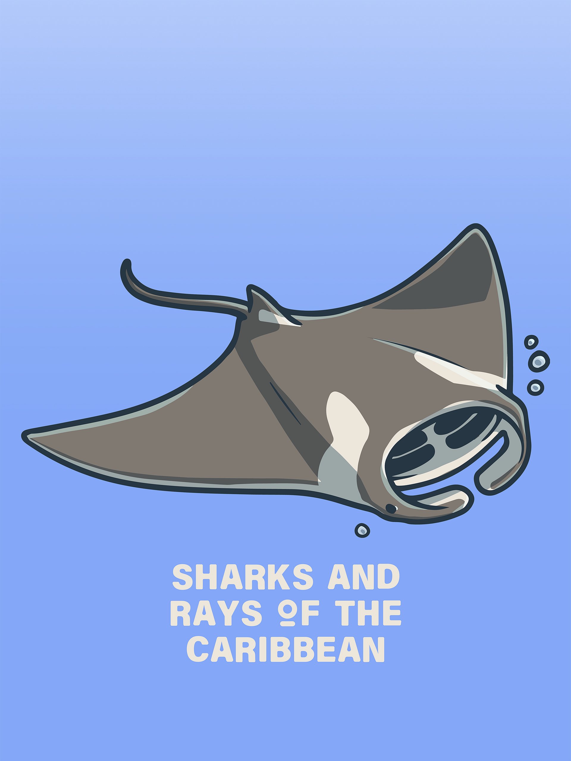 Sharks and Rays of the Caribbean - Icon Pack product image (4)