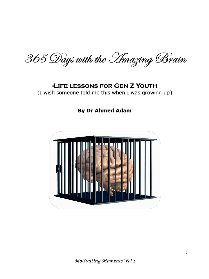 365 Days with the Amazing Brain product image (1)