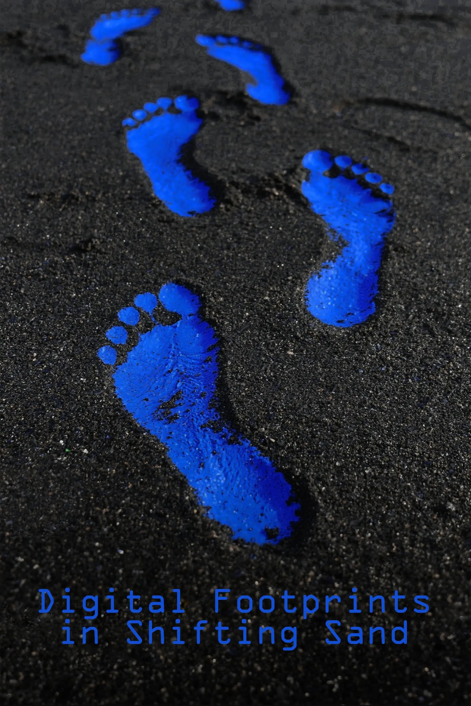 Digital Footprints in Shifting Sand product image (1)