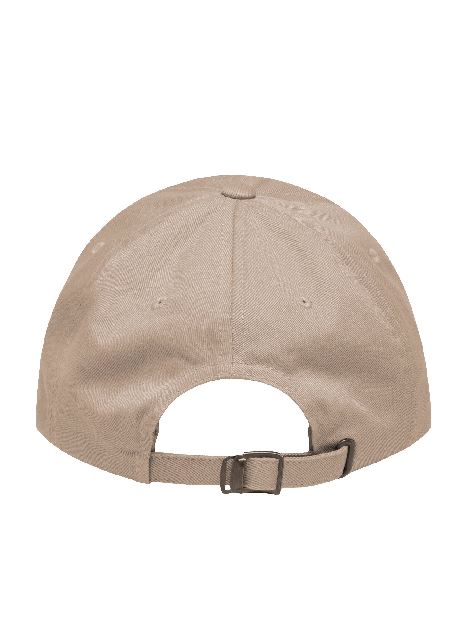 Mockingbird Embroidered Hat | Songbird Cap product image (50)