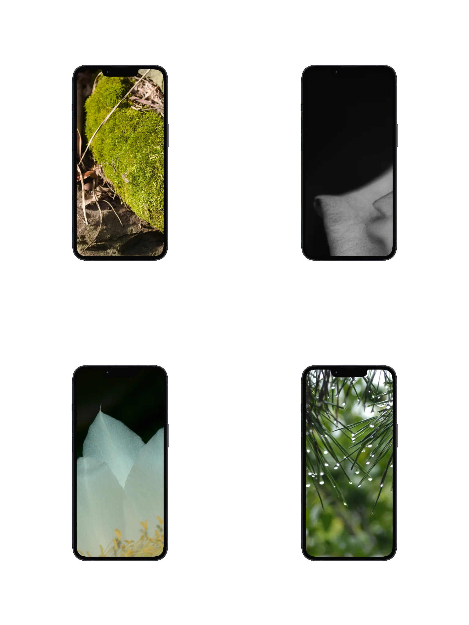 the eldhollow digital wallpaper collection product image (1)