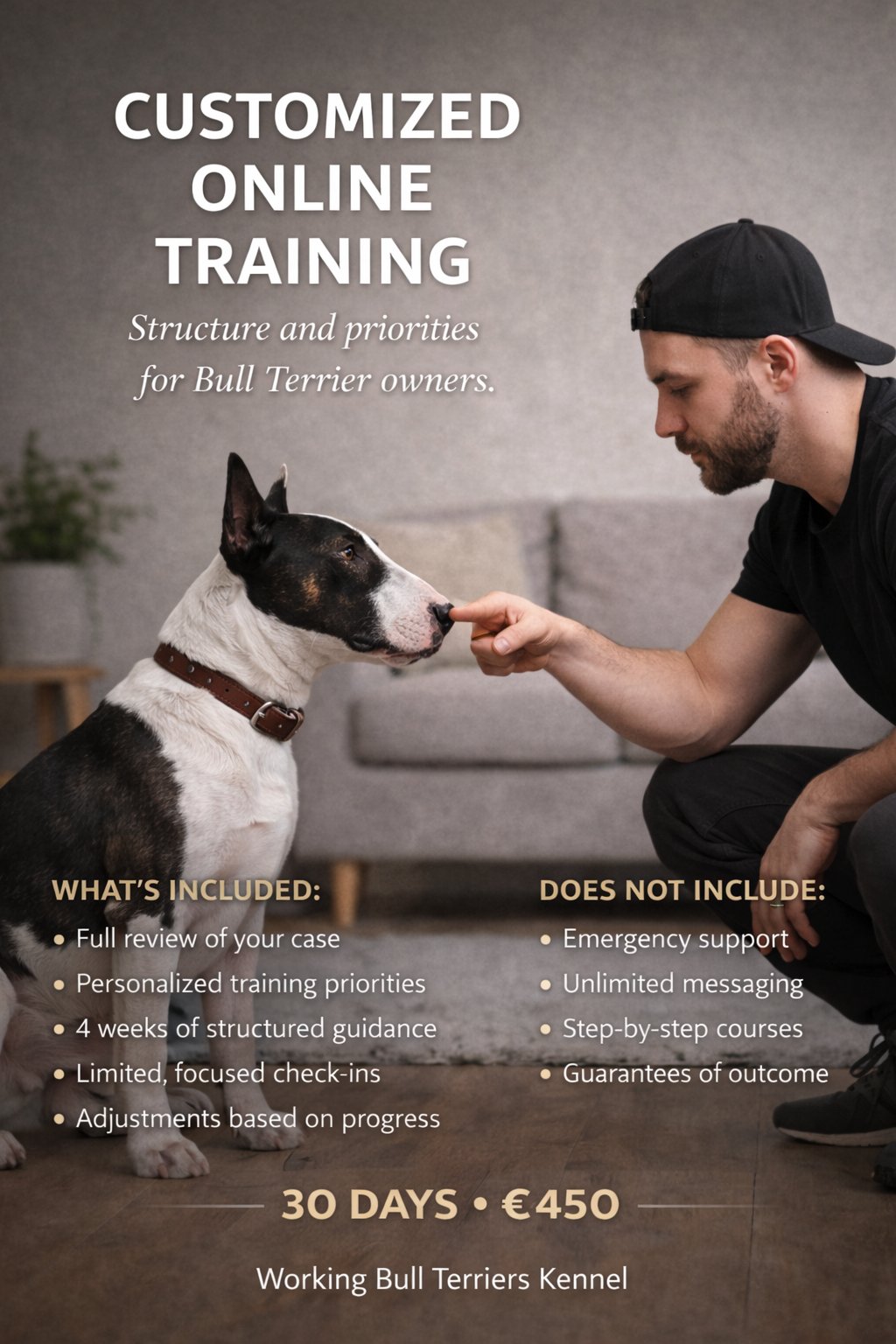 Customized Online Training - 30 Days product image (1)