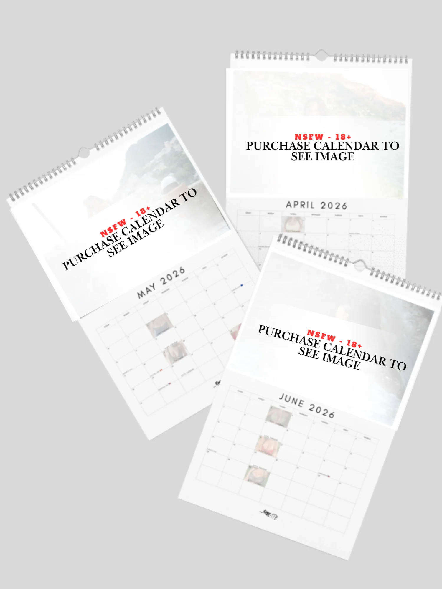 2026 Calendar product image (3)