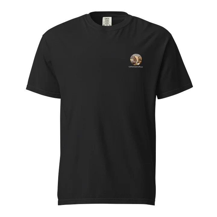 Callhampterofficial Scooter Shirt product image (1)