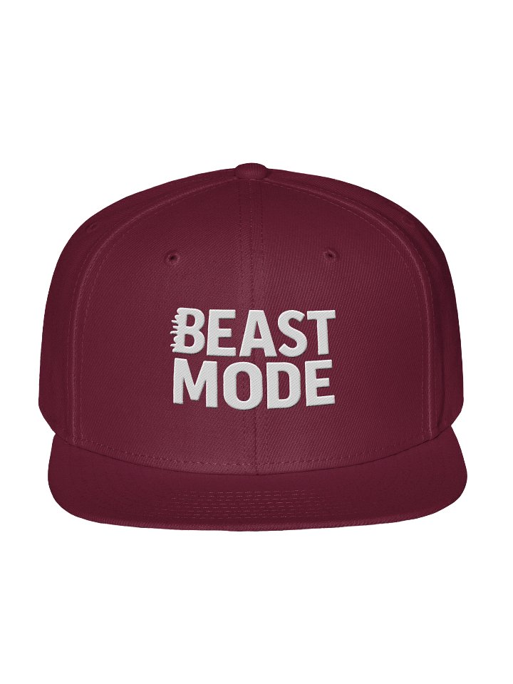 BEAST MODE Embroidered Snapback Hat product image (9)