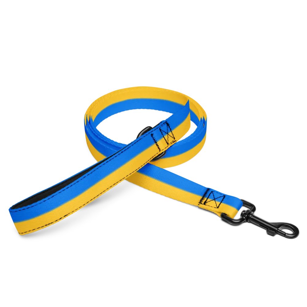 Sunset Stripes Pet Leash product image (1)