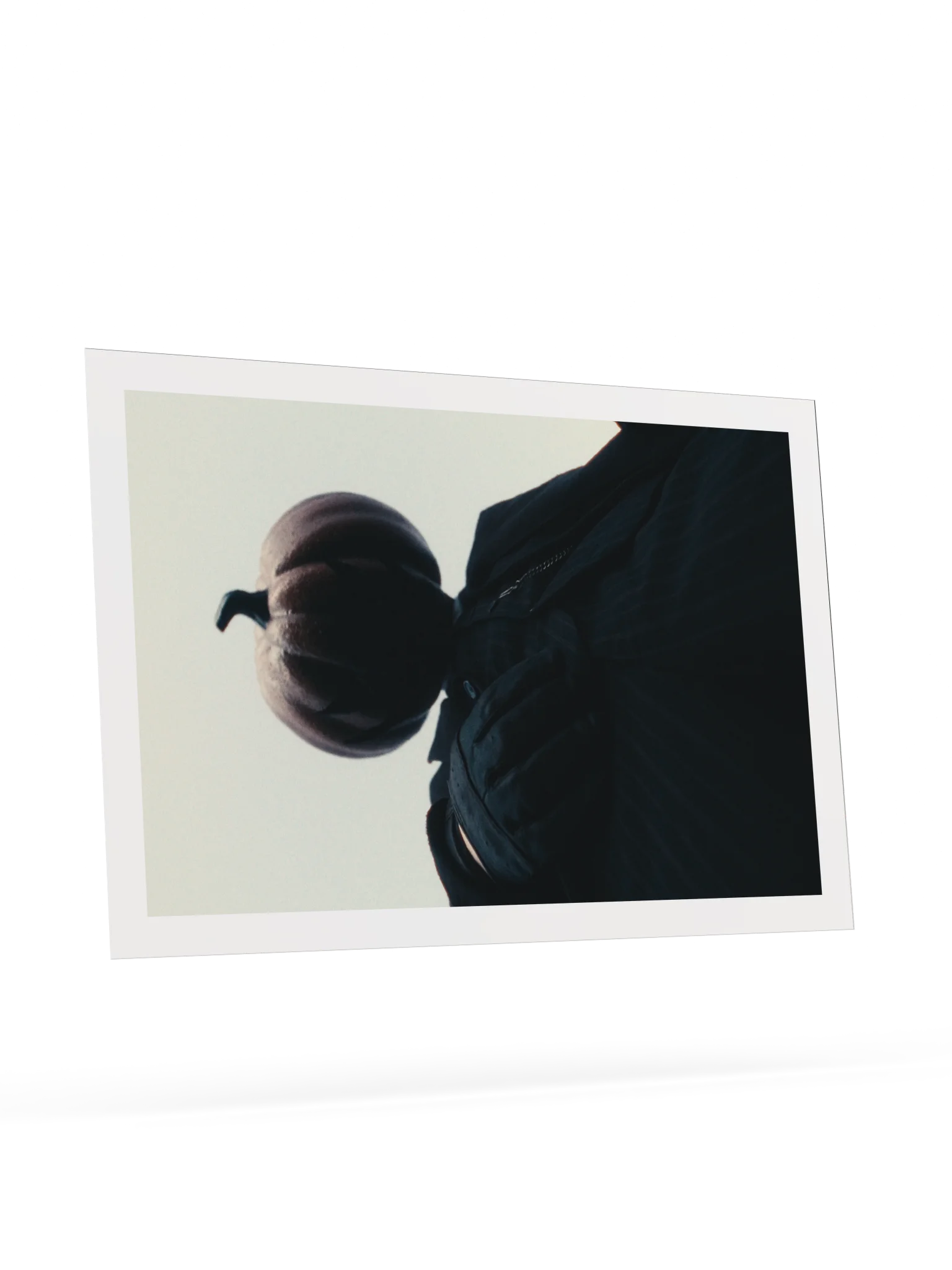 THE PUMPKING product image (18)