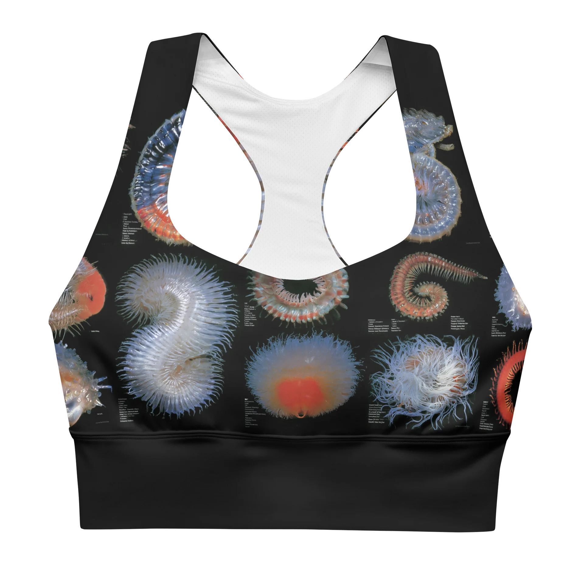 MOONWORM 01- CROP TOP BRALETTE product image (3)