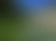 new zealand's tag thumbnail