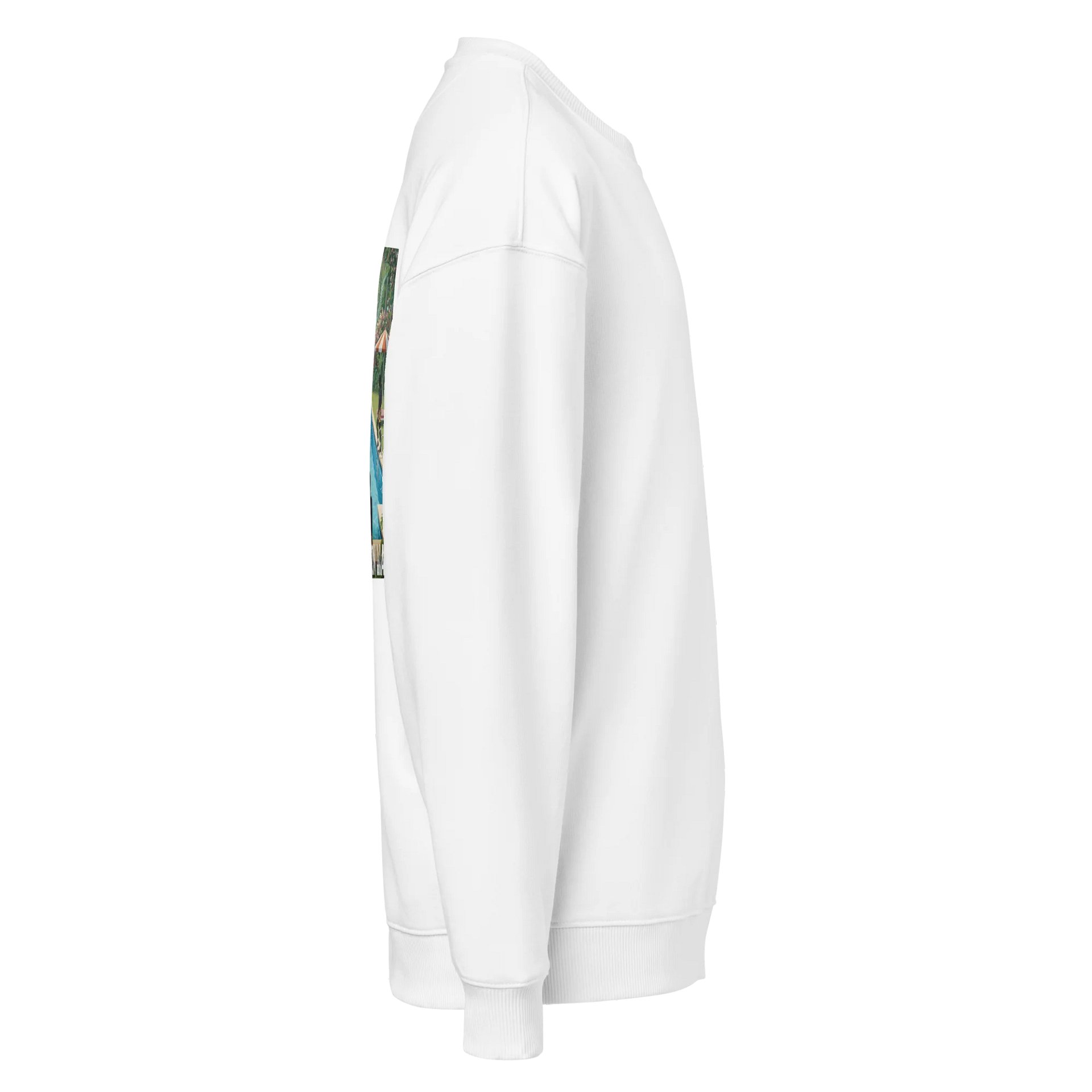 Saltwater Pool Premium Sweatshirt - JASON MADE product image (4)