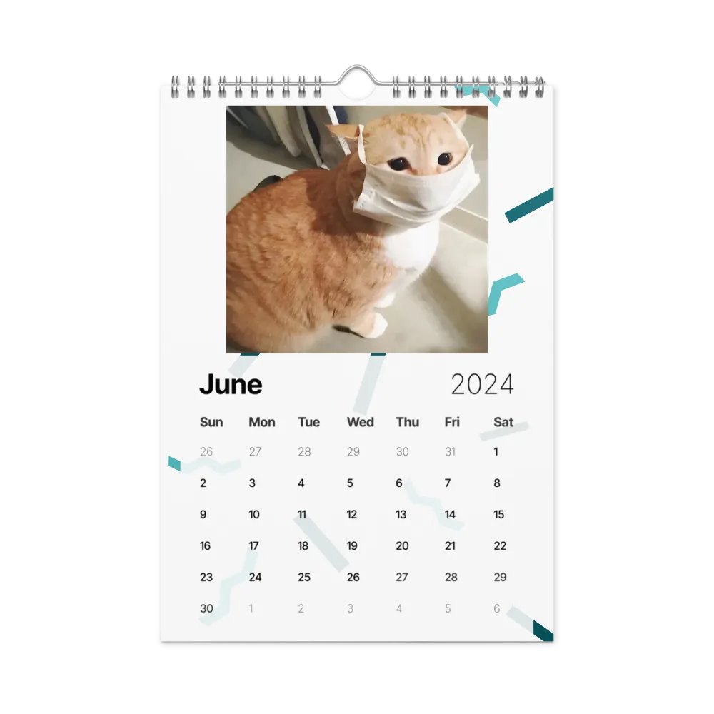 Wall Calendar (2024): Meme Cats product image (12)