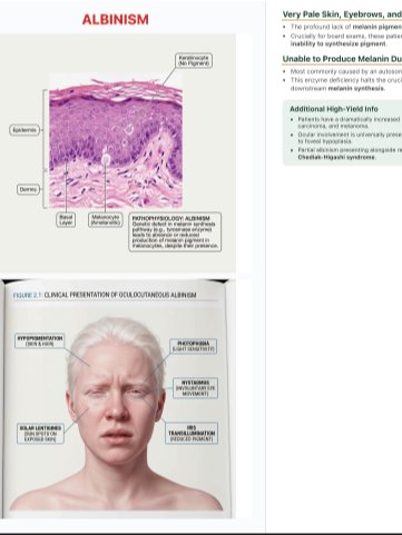 IvyTutoring Step 1 HY Book - Dermatology product image (2)