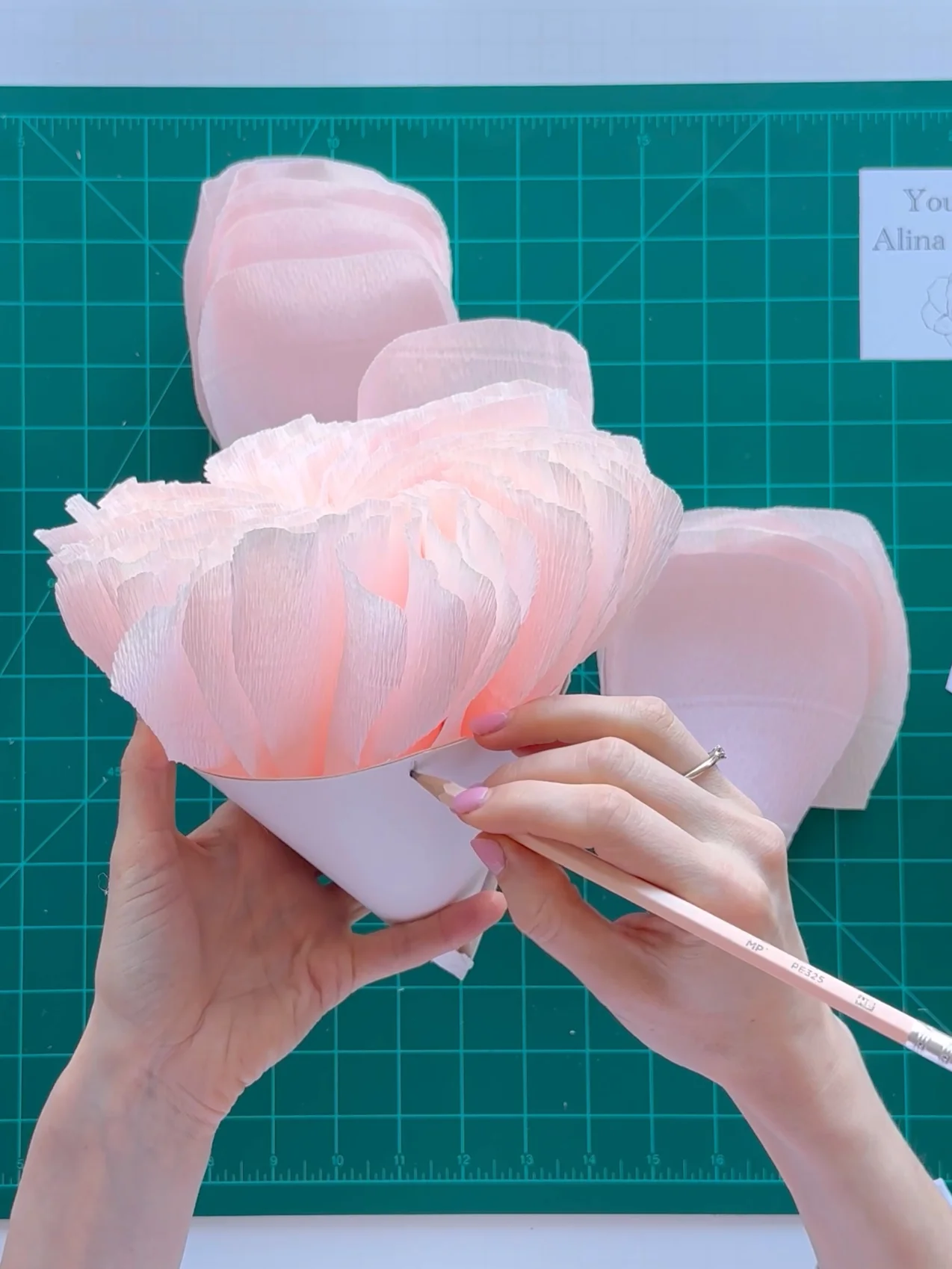 DIY Giant Paper English Rose: Templates from Video Tutorial + Materials Checklist product image (5)