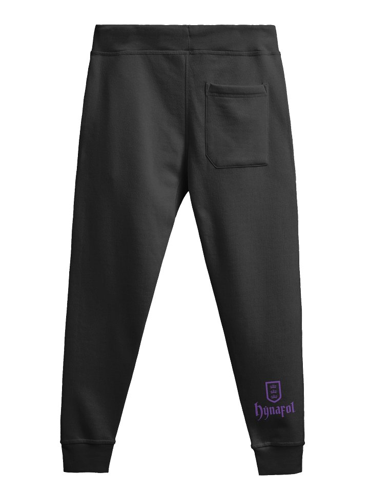 Court of Ambition Joggers product image (2)