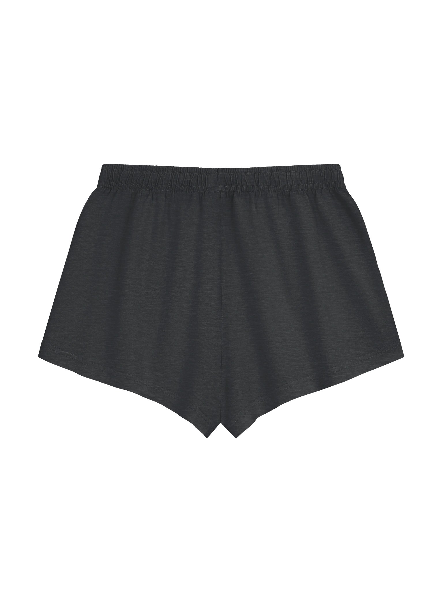 Let’s Go Saguaro Gradient Shorts product image (4)