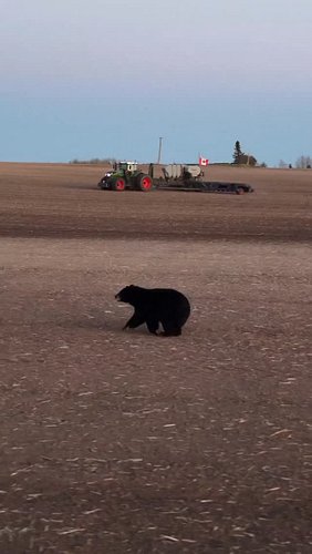 Some days, nature steals the show! The acres may keep us busy, but it's moments like these that make all the long days worth ...