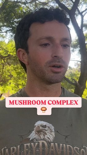 It’s a mushroom complex stop asking questions.
-
-#mushroom #medicinalherbs #medicinalplants #planttherapy