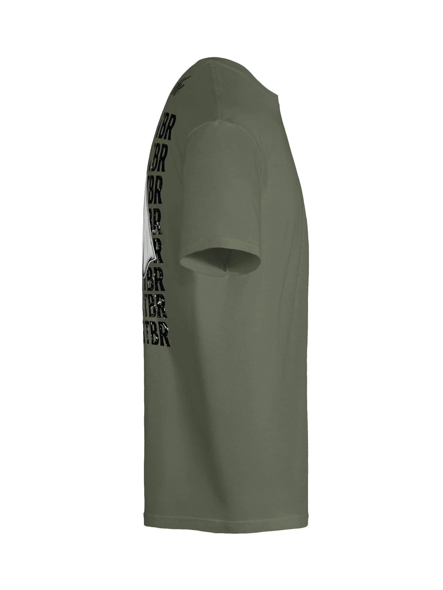Ghosting the TBR product image (10)