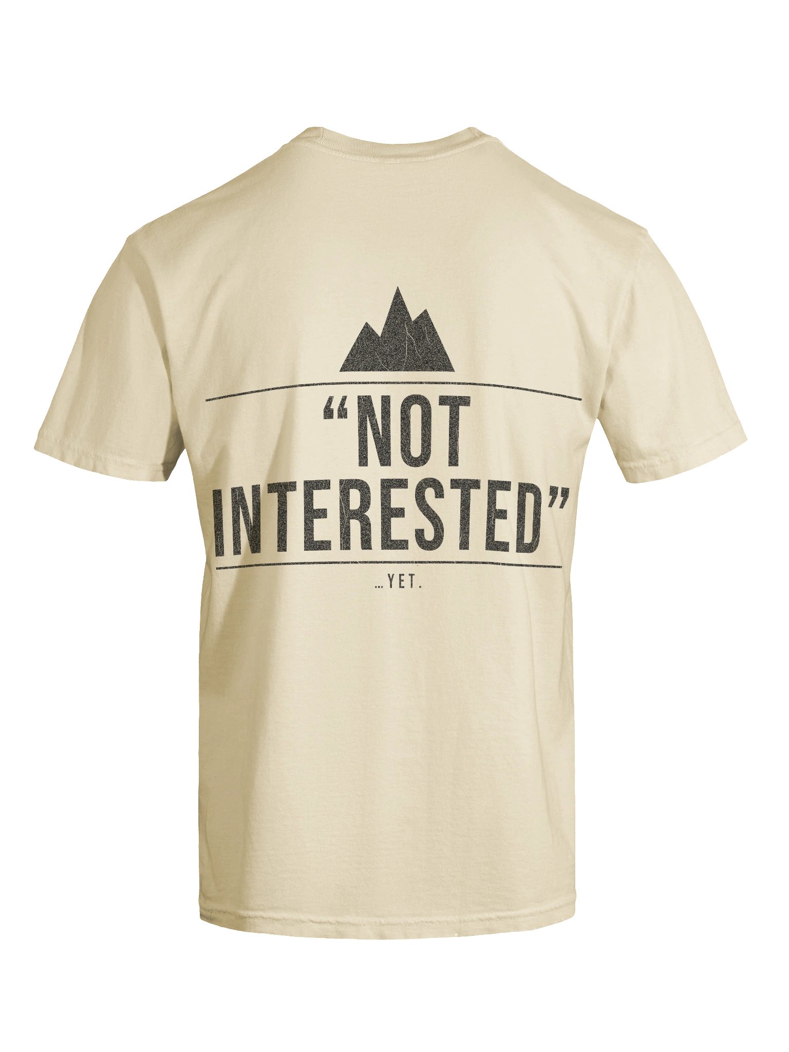 "Not Interested" Heavyweight Tee — Ivory product image (7)