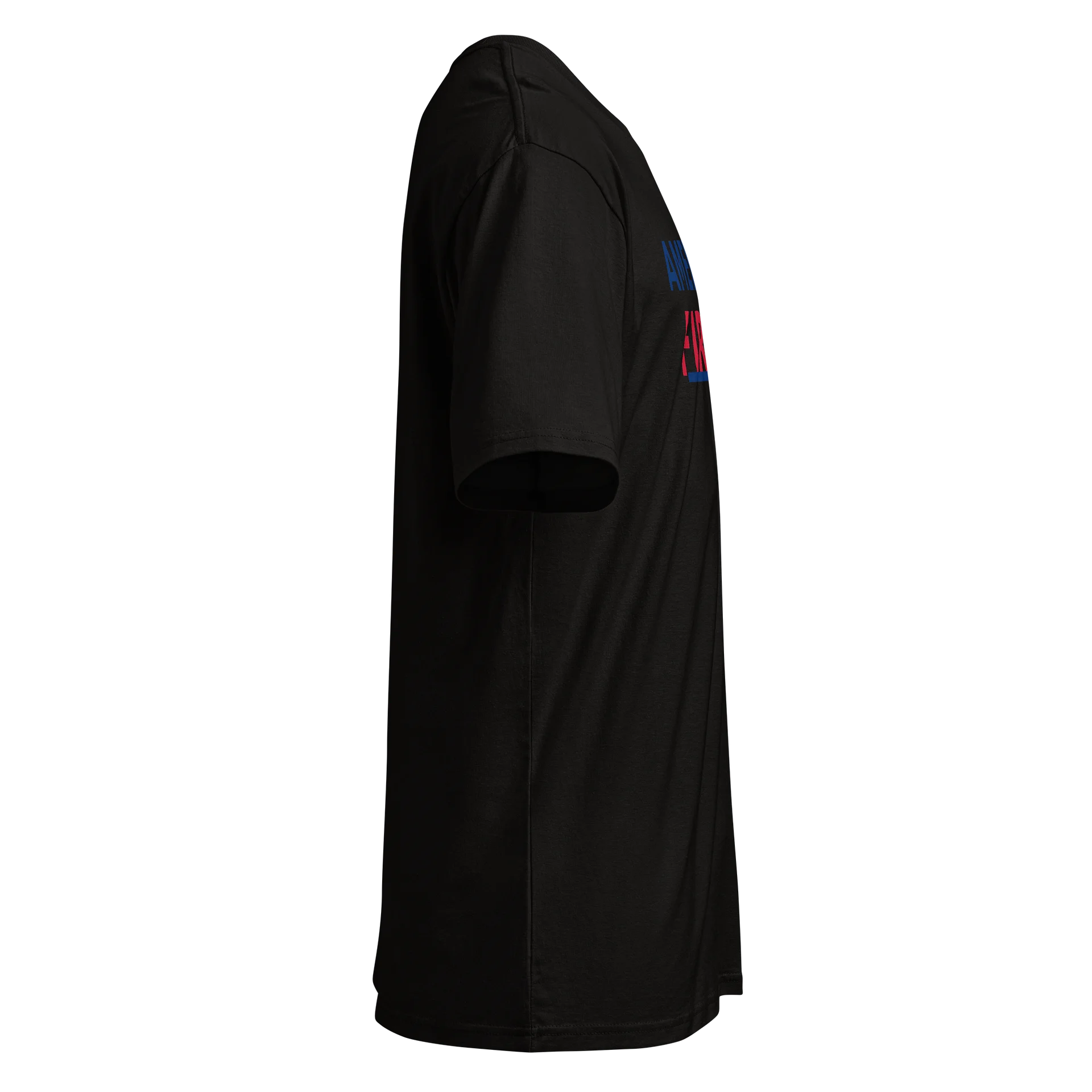 America First T- Shirt product image (3)