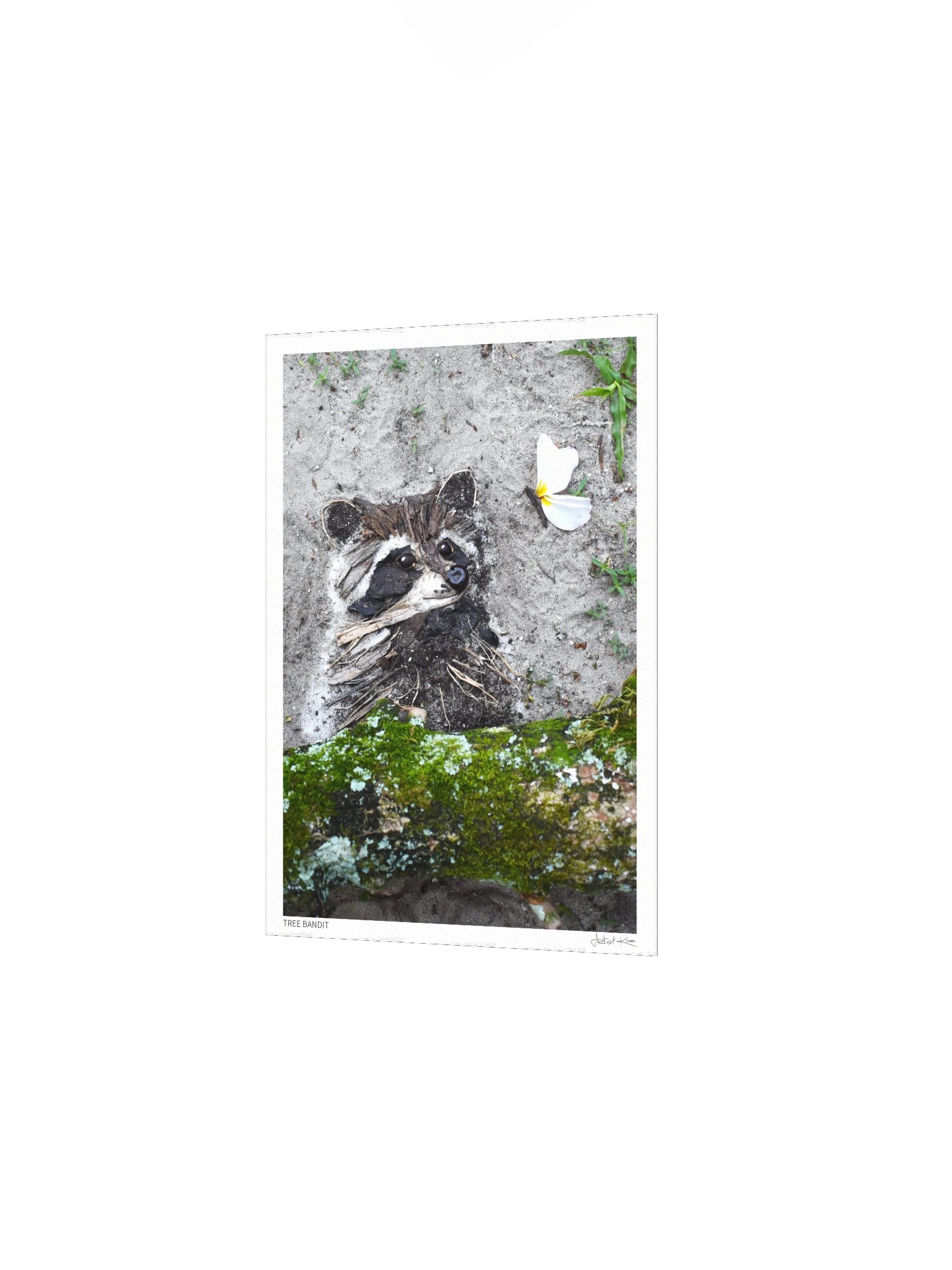 TREE BANDIT | Fine Art Print product image (3)