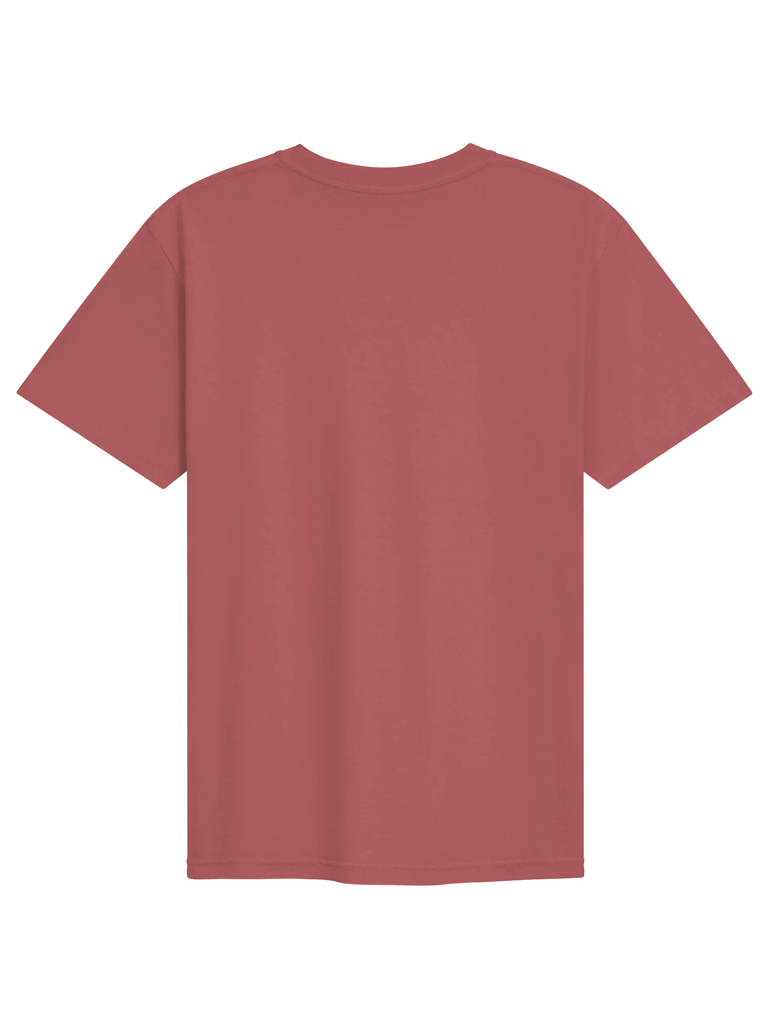 Comfort Colors Aliecarving's Alpha Omega T-Shirt product image (2)