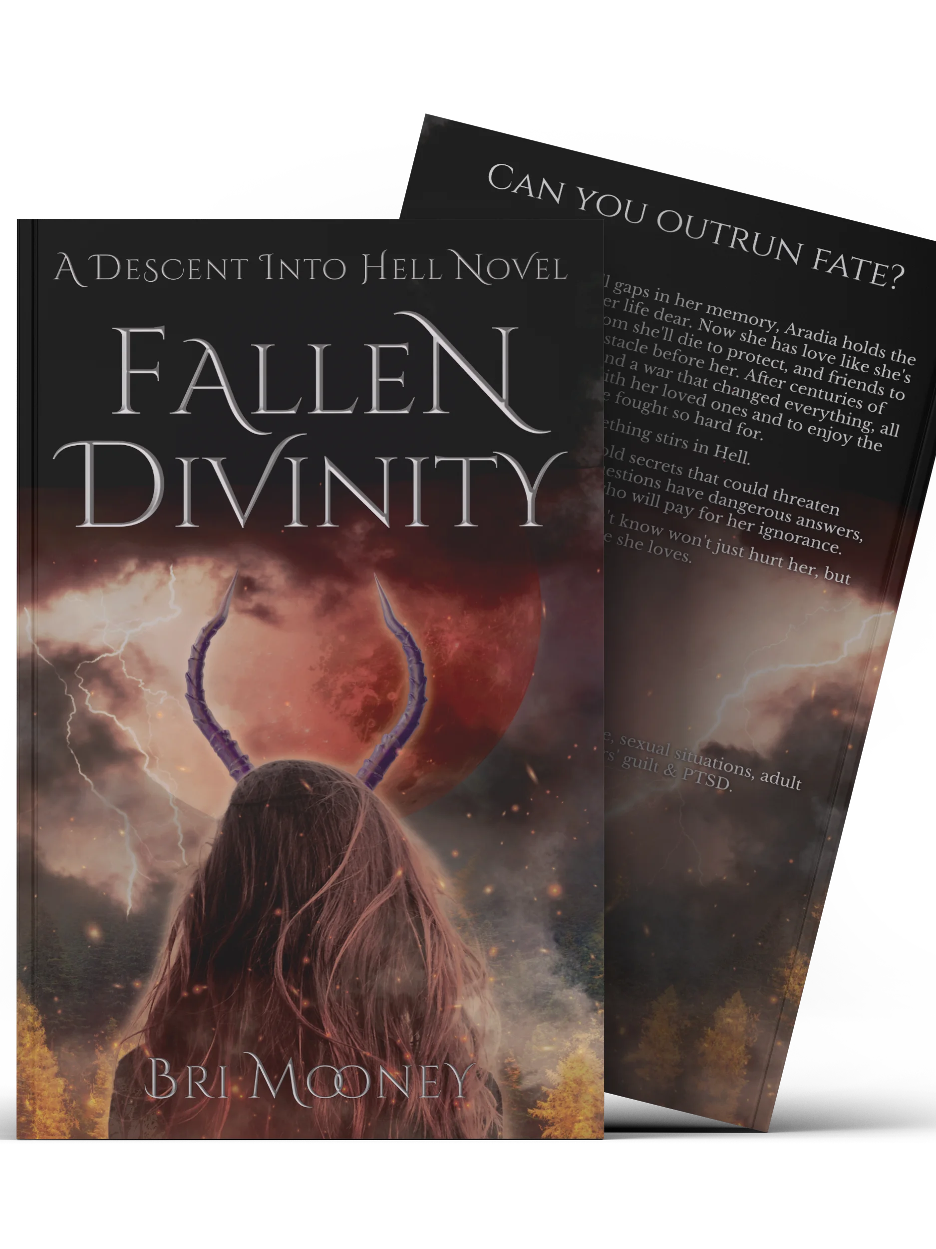 Fallen Divinity | Descent into Hell book 2 Paperback product image (2)