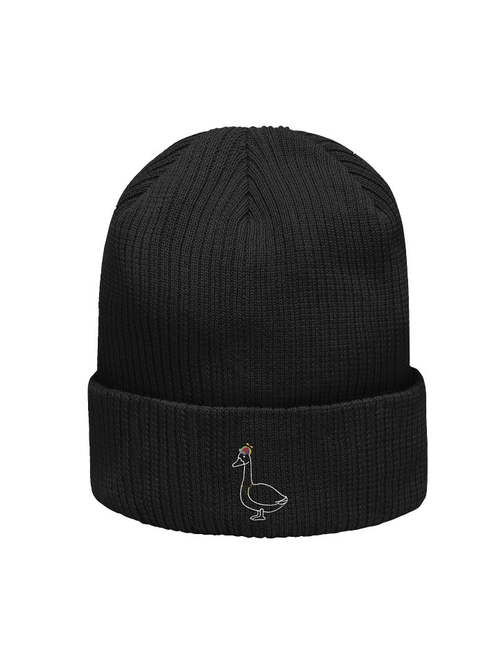 Silly Goose Gang Beanie product image (1)
