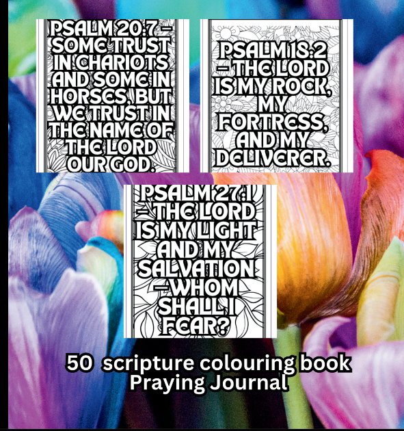 Praying Scripture Journal Colouring book product image (2)