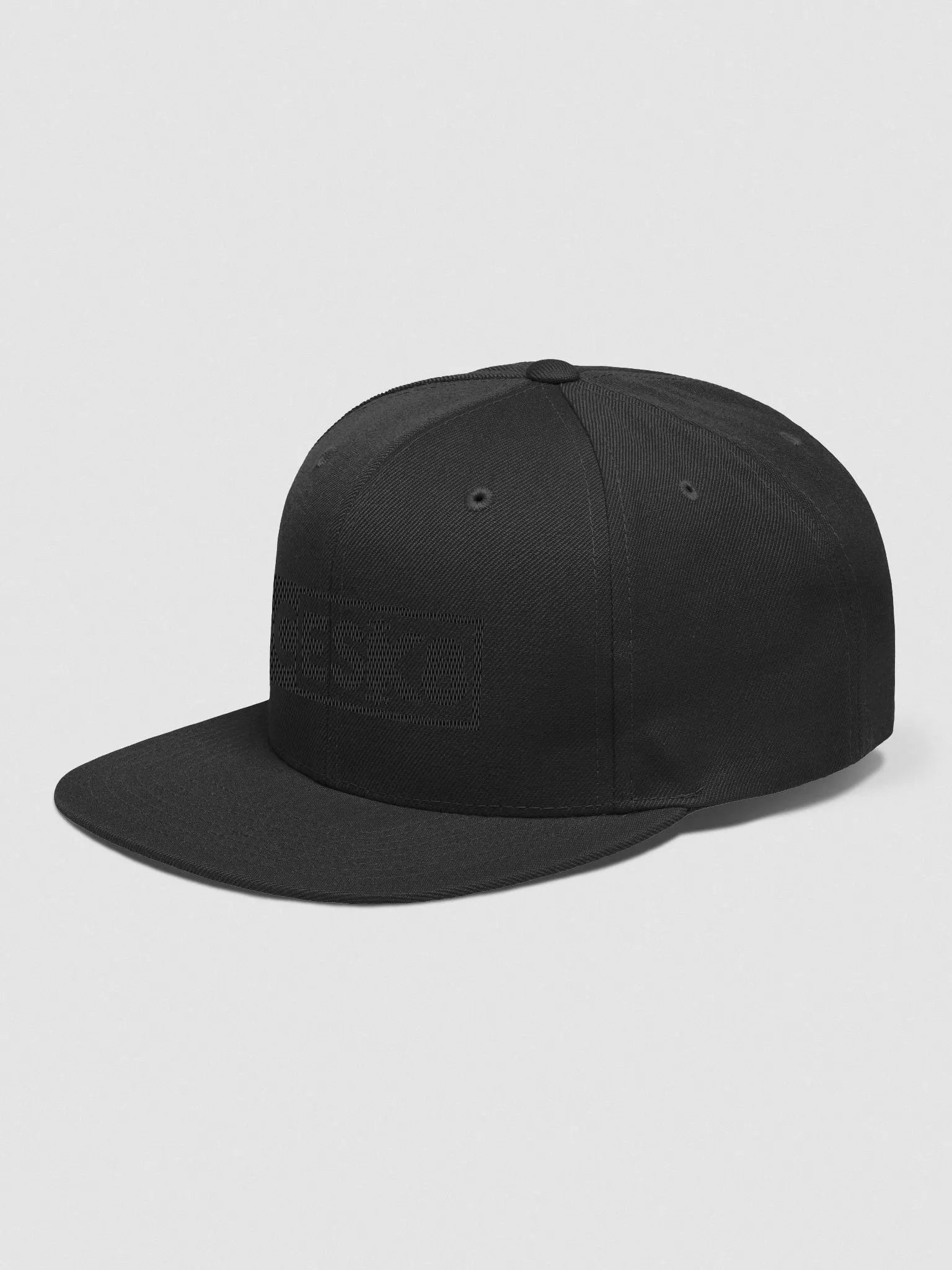 DCESK8 Blackout Snapback product image (2)