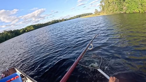 Jigging catching walleye.
This is the year I finally learned how to use a jig properly 😂 simple but effective, before I would...