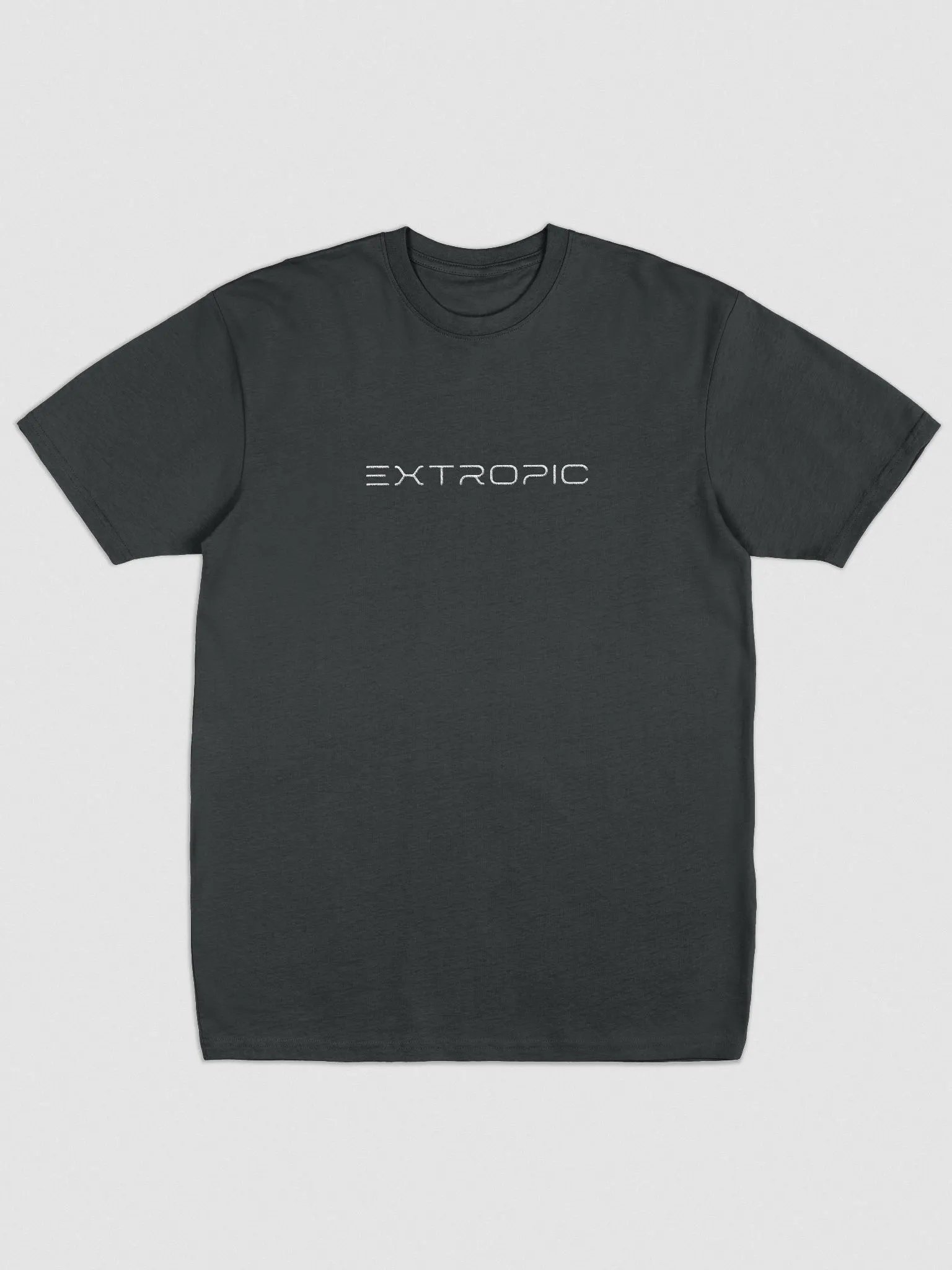 Extropic Heavyweight Tee product image (2)