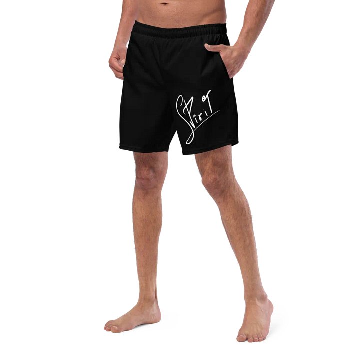 Spirit Trunks product image (2)
