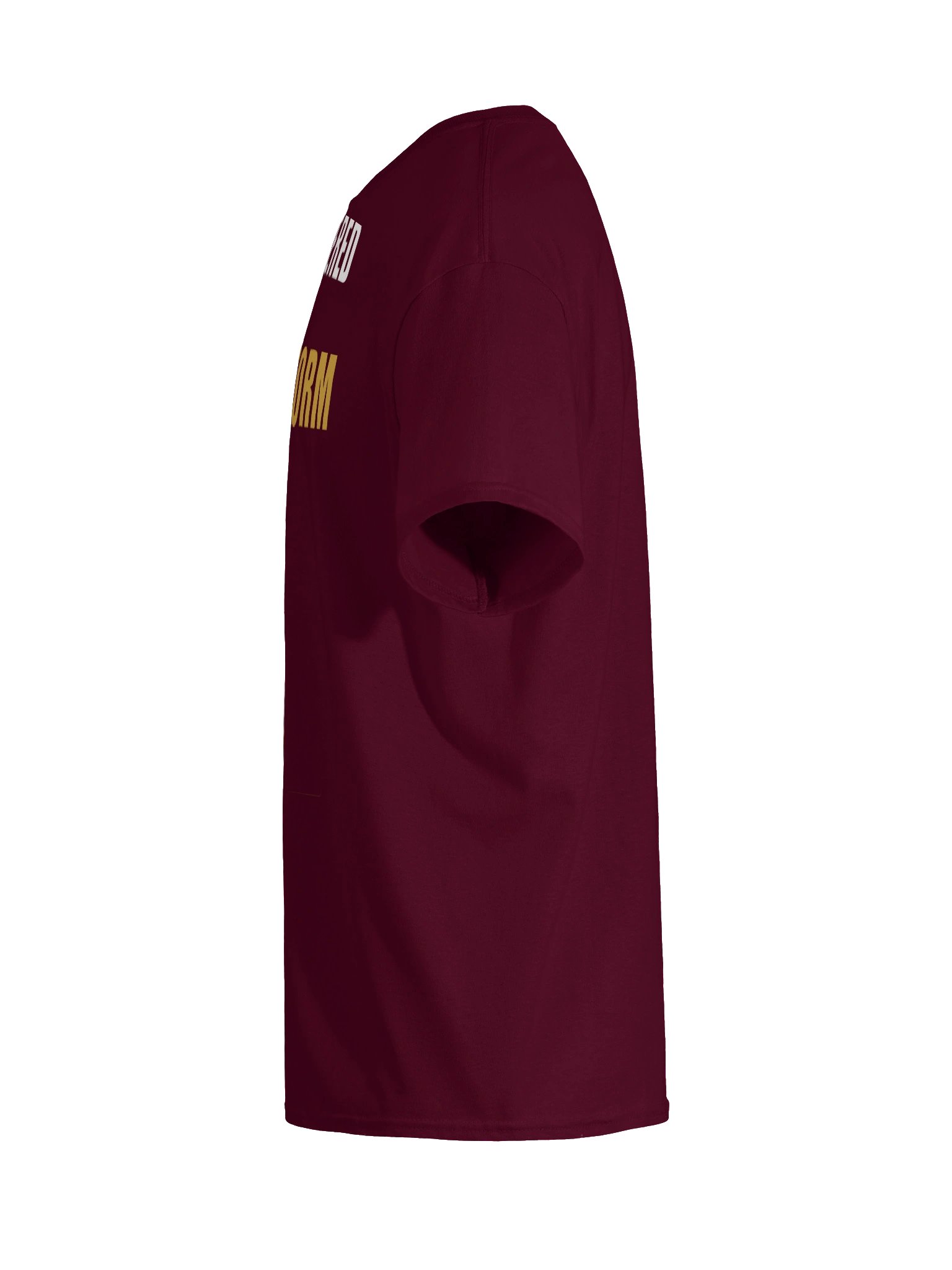 Empowered to Transform Tee product image (69)