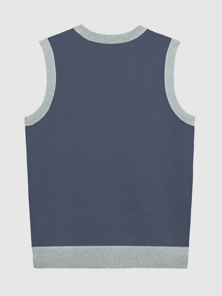 BUSY-BRAINED (lg. design, navy and powder blue) knitwear vest product image (9)