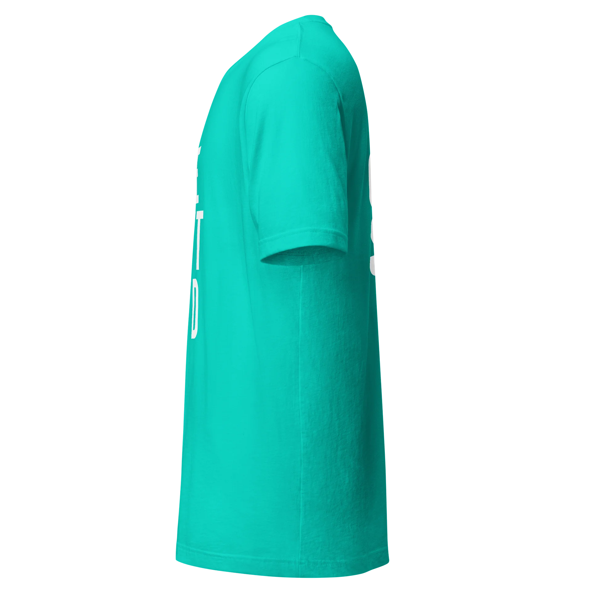 WeOwtsyd Gen 2 Premium T-Shirt - Teal product image (3)