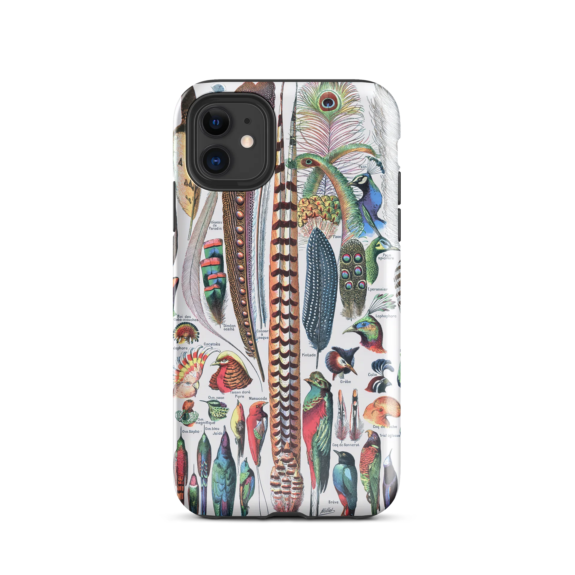 Feathers of Diversity iPhone® Tough Case - Plumes by Adolphe Millot product image (4)