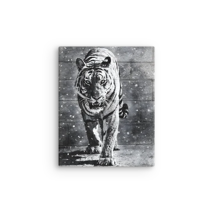 Urban Tiger: Strength in the snowstorm Slimline Canvas Art product image (10)
