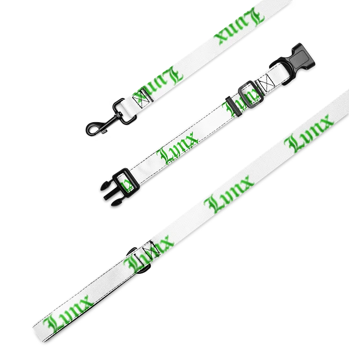 Lynx Collar Leash product image (1)