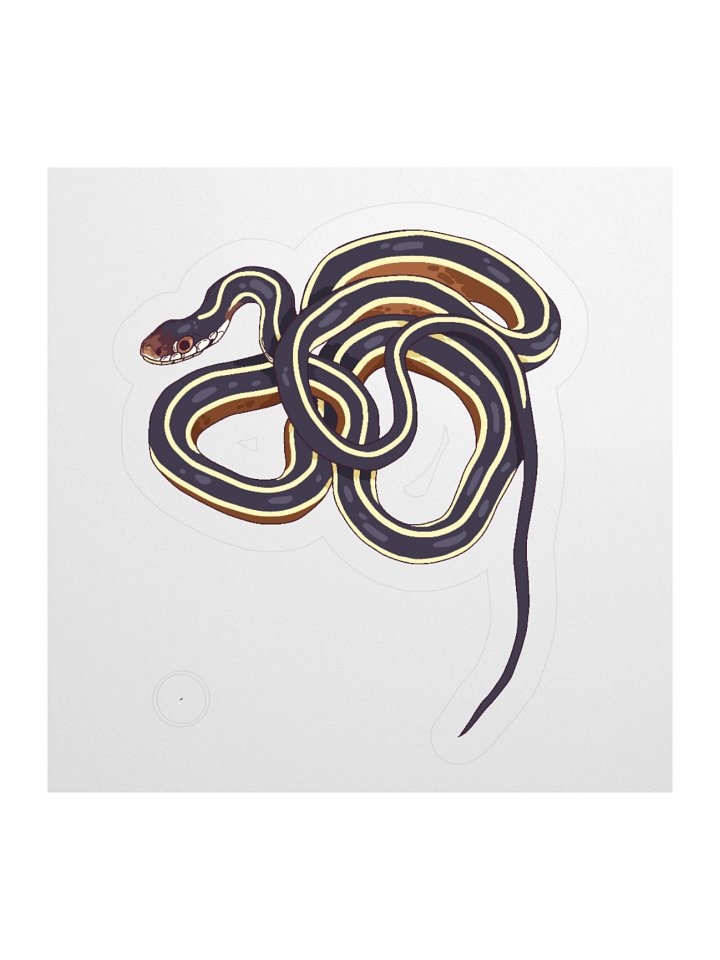 Eastern Ribbonsnake - Thamnophis saurita saurita Sticker product image (3)