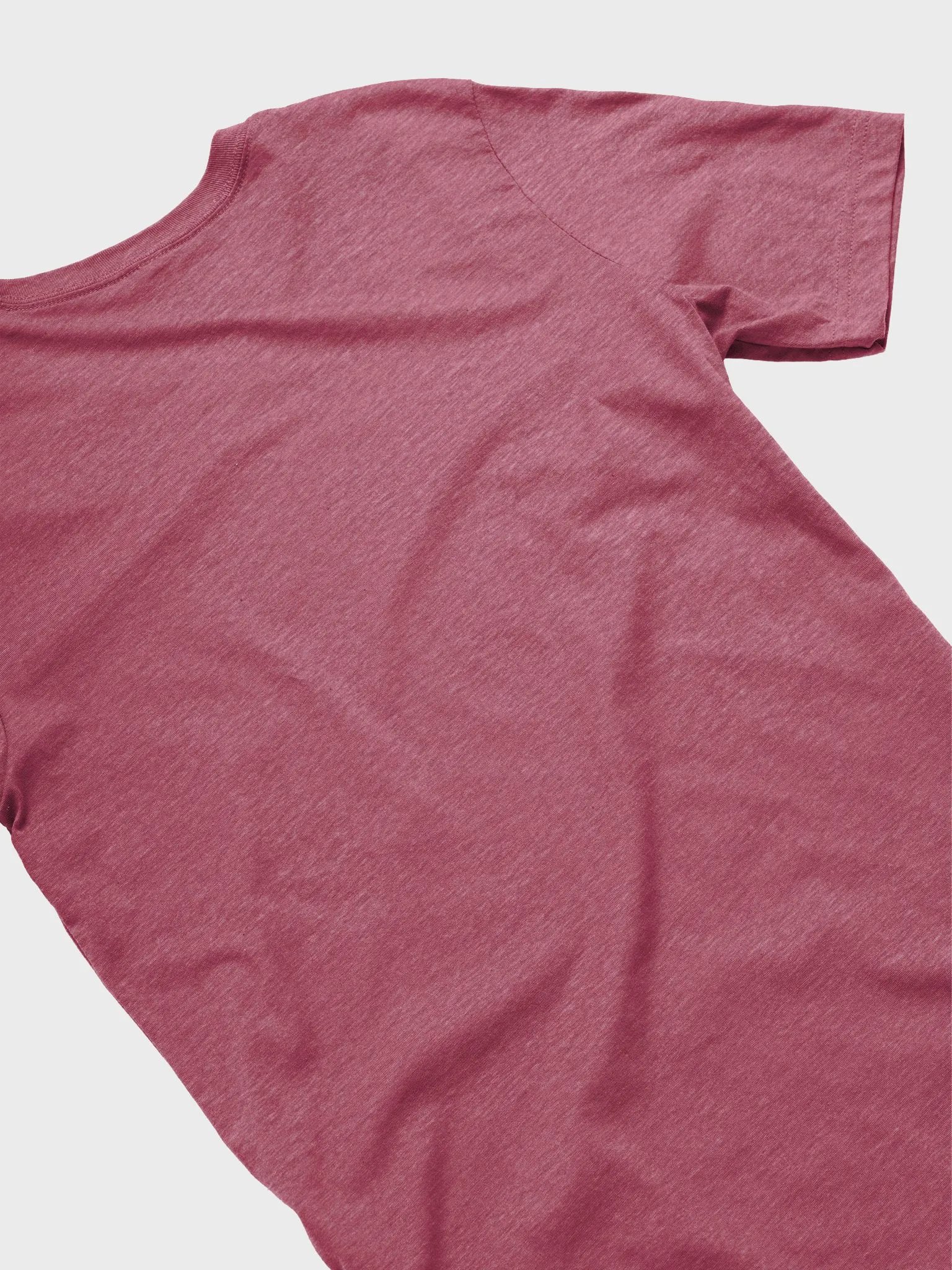 Perfectly Flawed - Recovving Perfeeconist T-Shirt (Bright w/white) product image (4)
