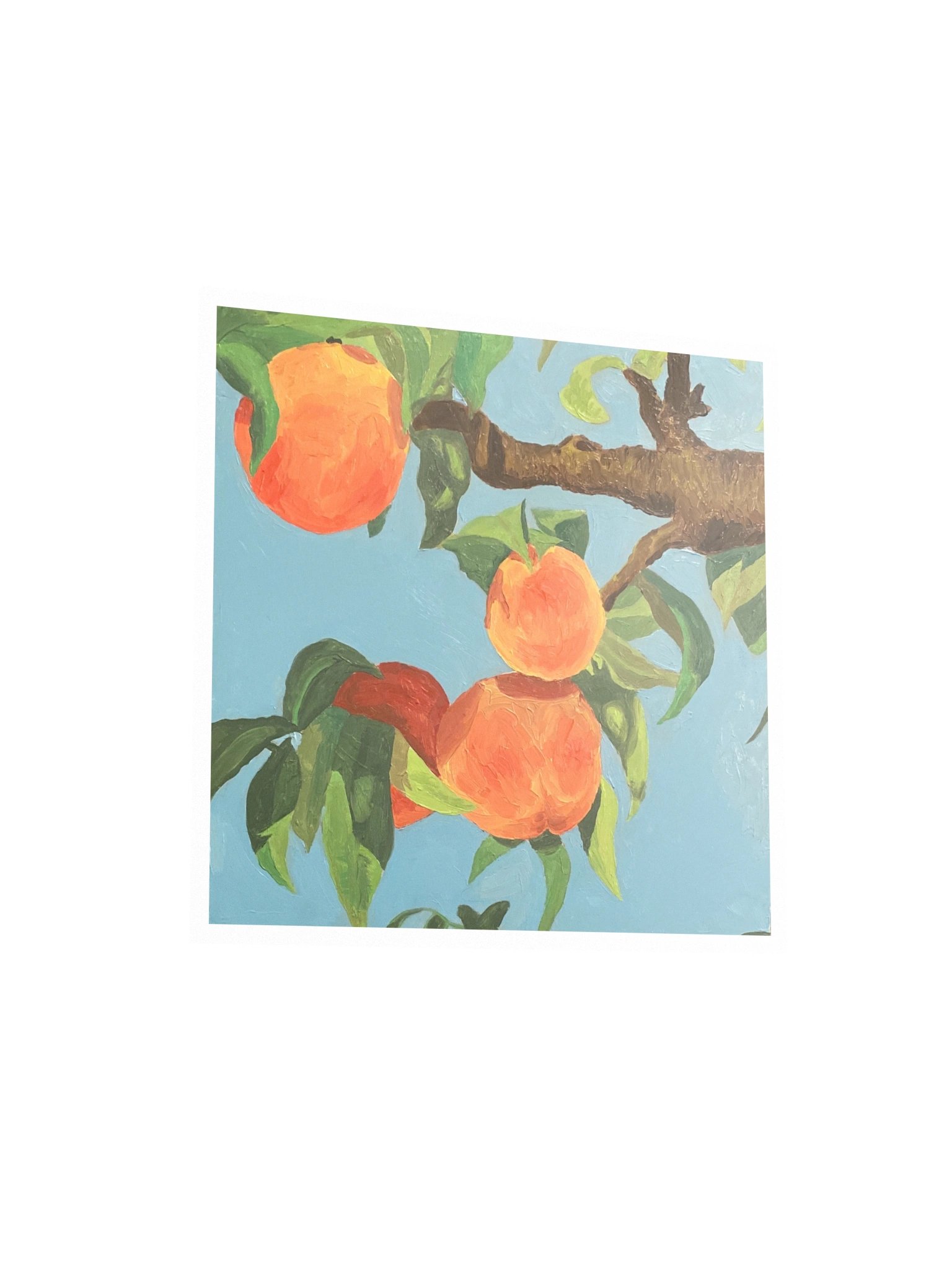 Bear Fruit Matte Paper Print product image (2)