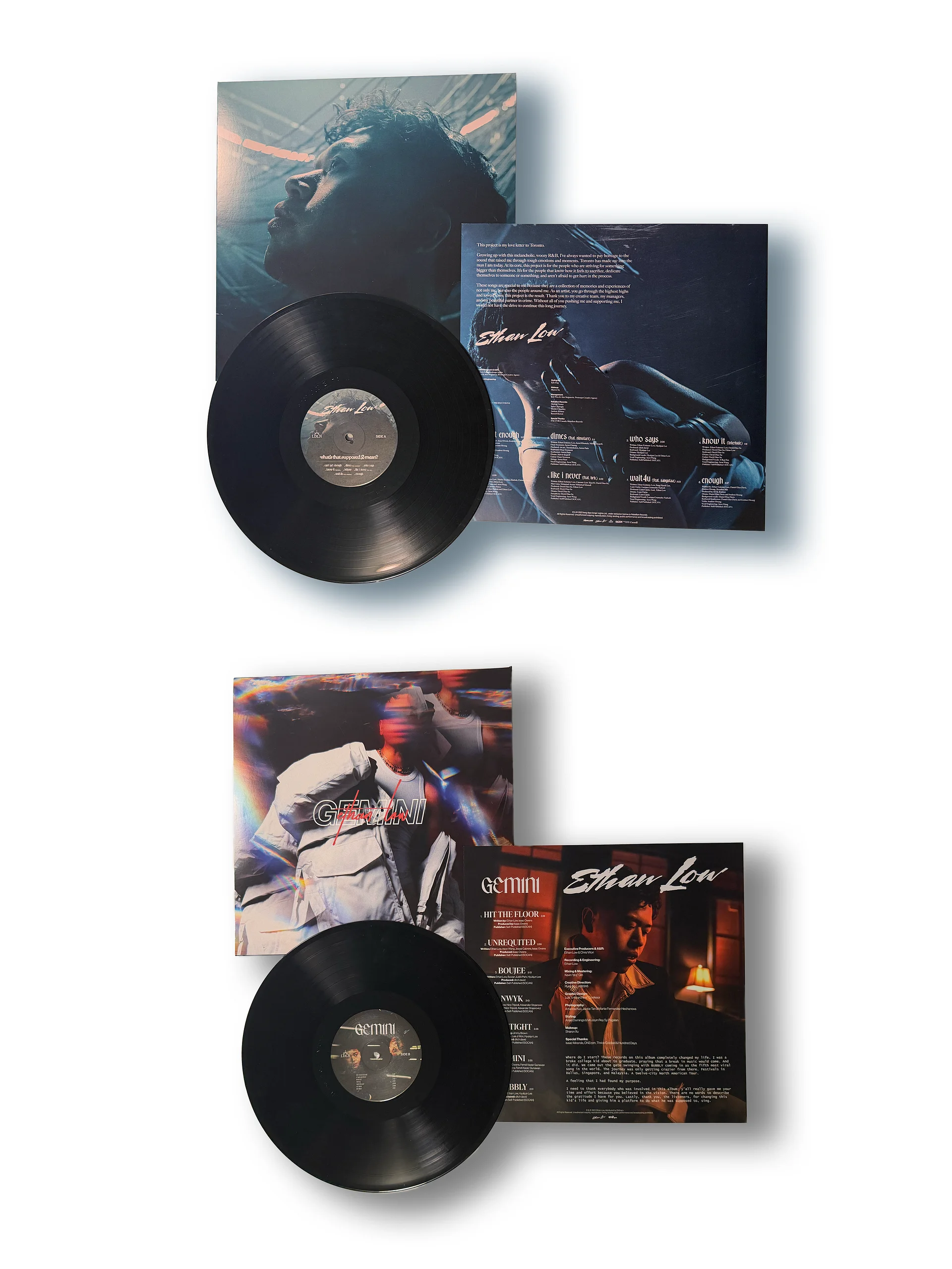 GEMINI / what's that supposed to mean? product image (1)